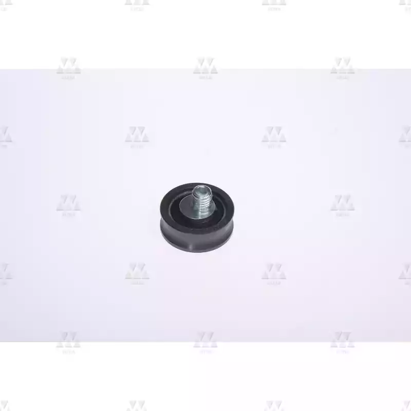1005043A01 | GUIDE ROLLER  WITH EXCCENTRIC BOLT   1005043A01 | GUIDE ROLLER  WITH EXCCENTRIC BOLT