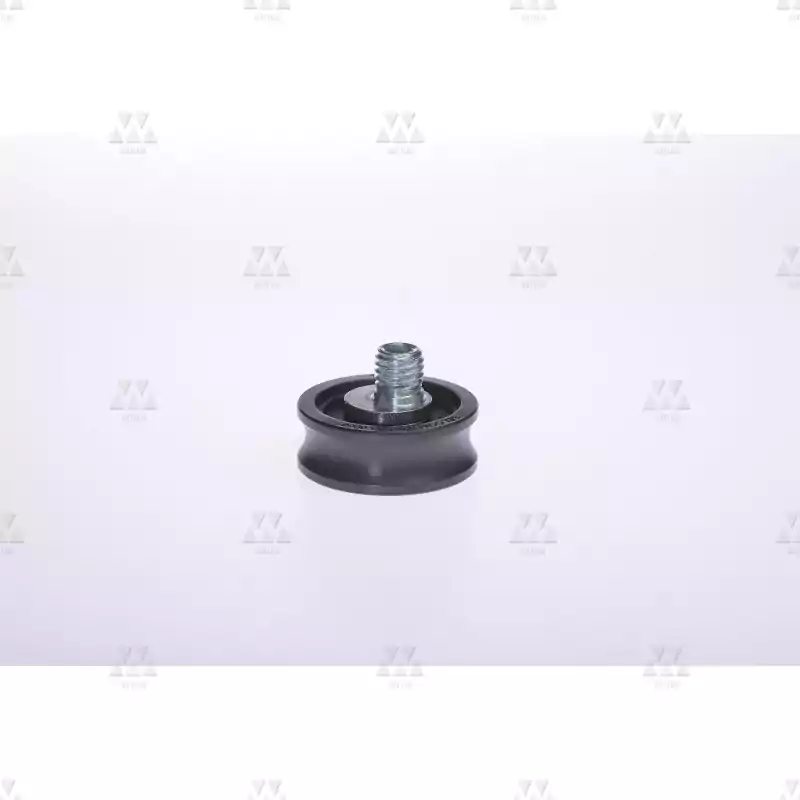 1005043A01 | GUIDE ROLLER  WITH EXCCENTRIC BOLT   1005043A01 | GUIDE ROLLER  WITH EXCCENTRIC BOLT