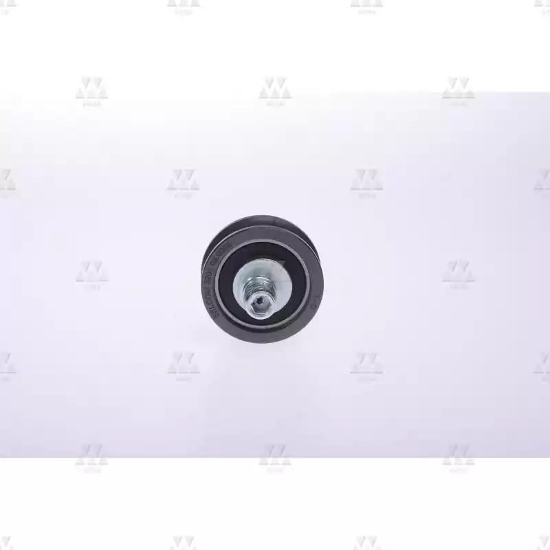 1005043A01 | GUIDE ROLLER  WITH EXCCENTRIC BOLT   1005043A01 | GUIDE ROLLER  WITH EXCCENTRIC BOLT
