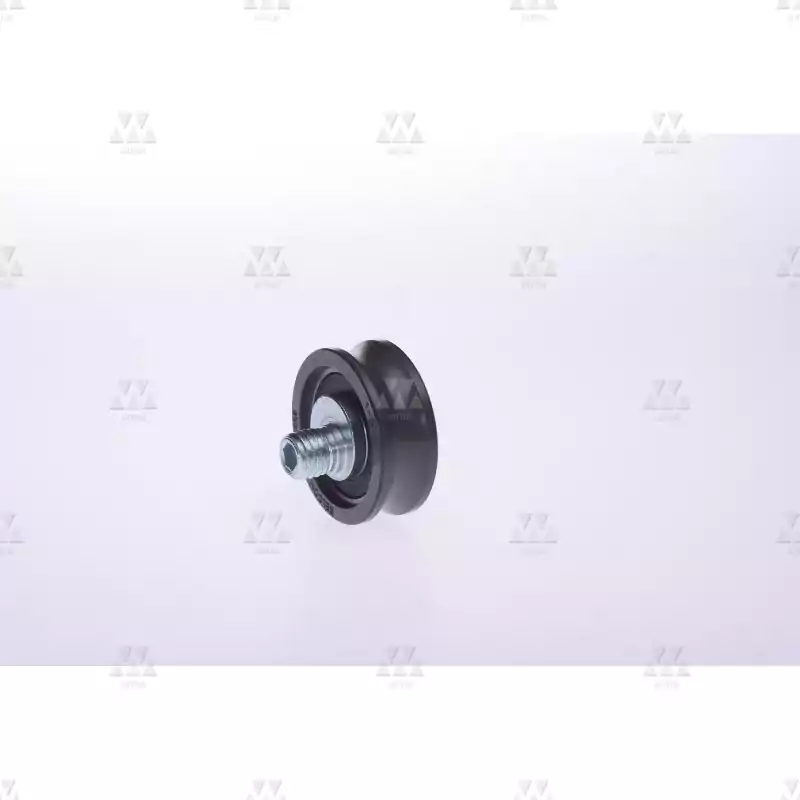 1005043A01 | GUIDE ROLLER  WITH EXCCENTRIC BOLT   1005043A01 | GUIDE ROLLER  WITH EXCCENTRIC BOLT