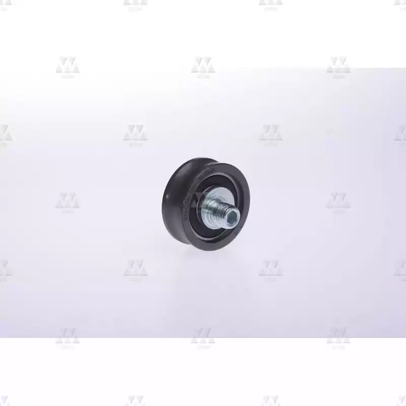 1005043A01 | GUIDE ROLLER  WITH EXCCENTRIC BOLT   1005043A01 | GUIDE ROLLER  WITH EXCCENTRIC BOLT