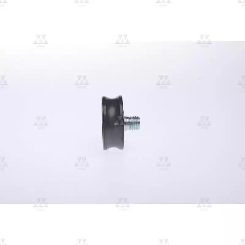 1005043A01 | GUIDE ROLLER  WITH EXCCENTRIC BOLT   1005043A01 | GUIDE ROLLER  WITH EXCCENTRIC BOLT