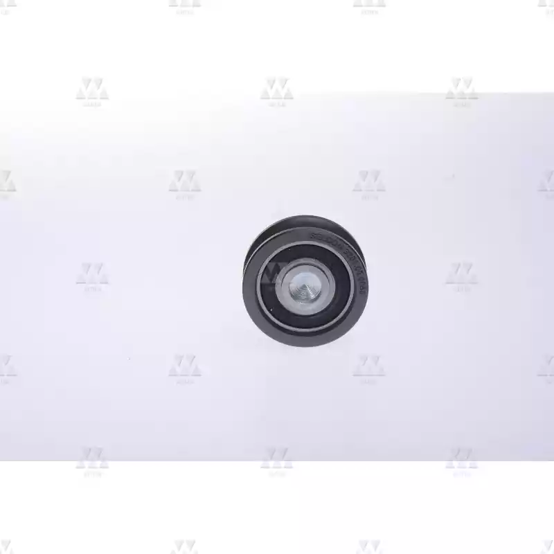1005043A01 | GUIDE ROLLER  WITH EXCCENTRIC BOLT   1005043A01 | GUIDE ROLLER  WITH EXCCENTRIC BOLT